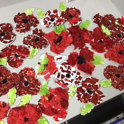 Remembrance Day poppies