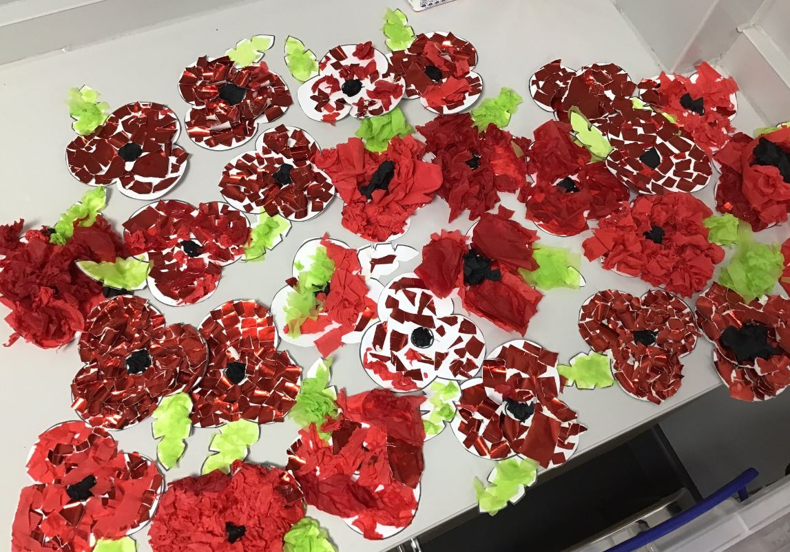 Remembrance Day poppies